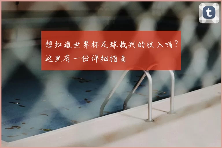 想知道世界杯足球裁判的收入吗？这里有一份详细指南