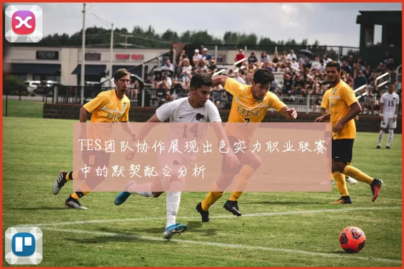 TES团队协作展现出色实力职业联赛中的默契配合分析