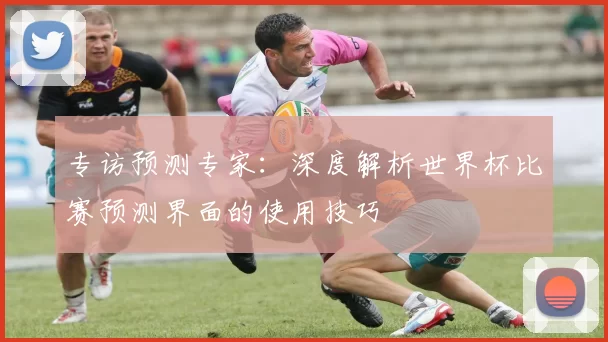 专访预测专家：深度解析世界杯比赛预测界面的使用技巧
