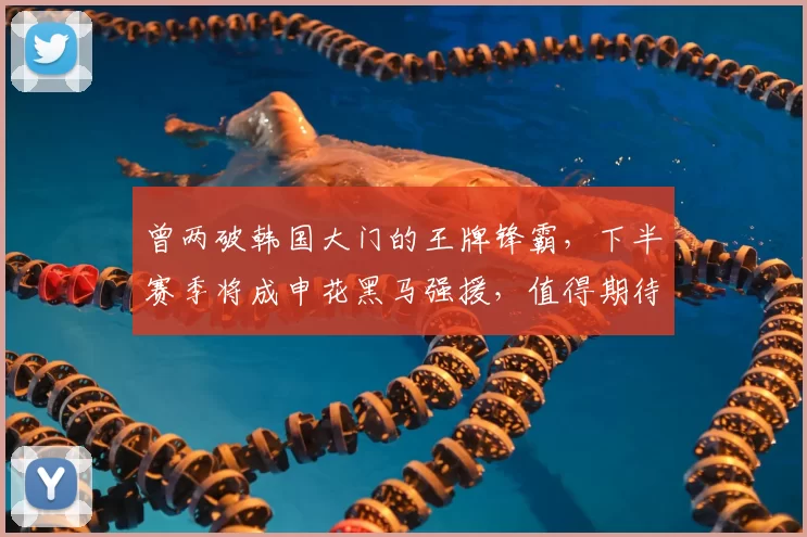 曾两破韩国大门的王牌锋霸,下半赛季将成申花黑马强援,值得期待_刘诚宇_久尔杰维奇_前锋