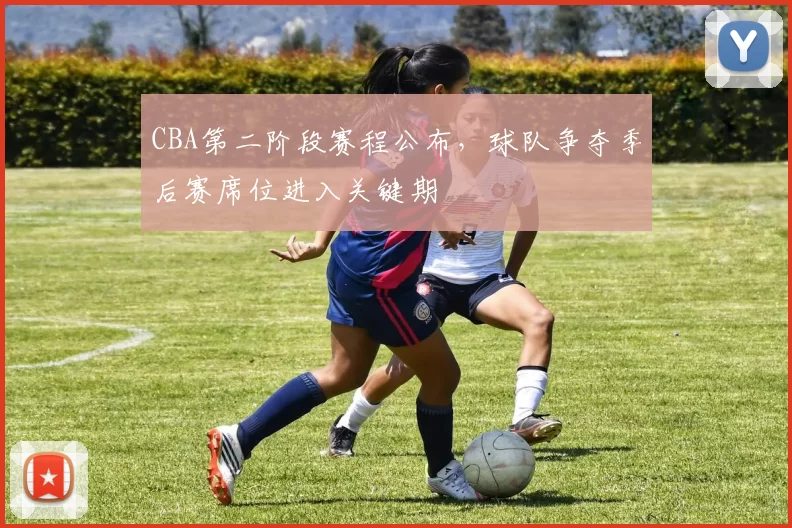 CBA第二阶段赛程公布，球队争夺季后赛席位进入关键期