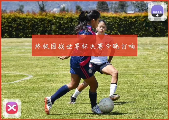 终极团战世界杯决赛今晚打响