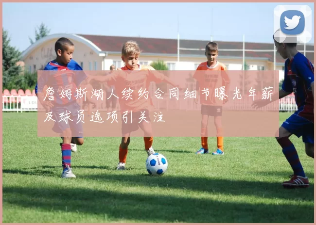 詹姆斯湖人续约合同细节曝光年薪及球员选项引关注