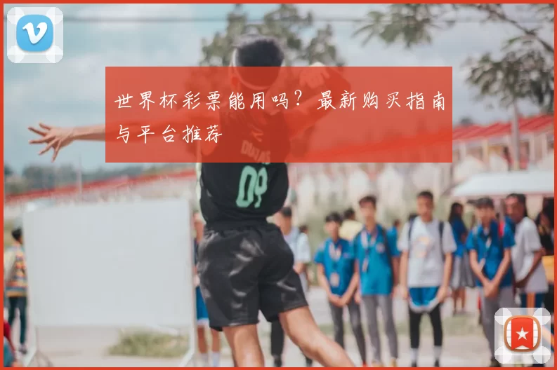 世界杯彩票能用吗？最新购买指南与平台推荐