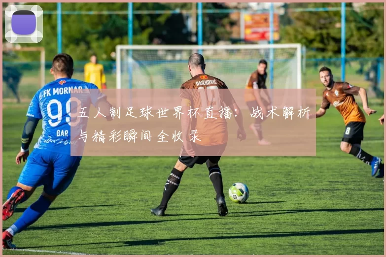 五人制足球世界杯直播：战术解析与精彩瞬间全收录