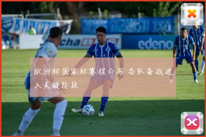 欧洲杯国家杯赛程公布 各队备战进入关键阶段