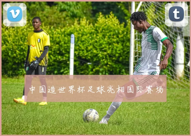 中国造世界杯足球亮相国际赛场