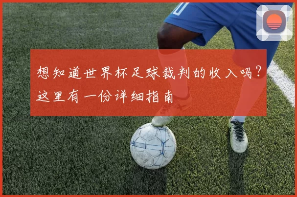 想知道世界杯足球裁判的收入吗？这里有一份详细指南