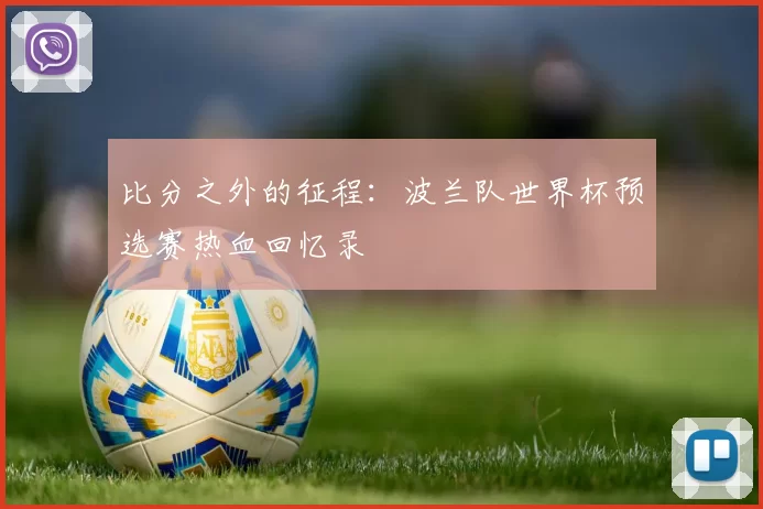 比分之外的征程：波兰队世界杯预选赛热血回忆录