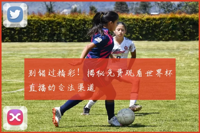 别错过精彩!揭秘免费观看世界杯直播的合法渠道